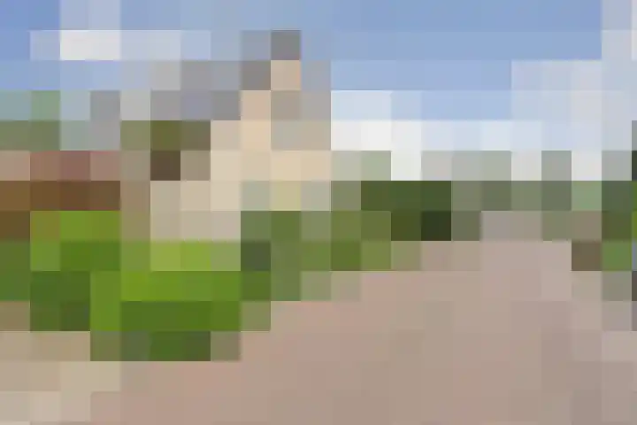 Ada van Hollandstraat 10 's-Heer Hendrikskinderen thumbnail 4
