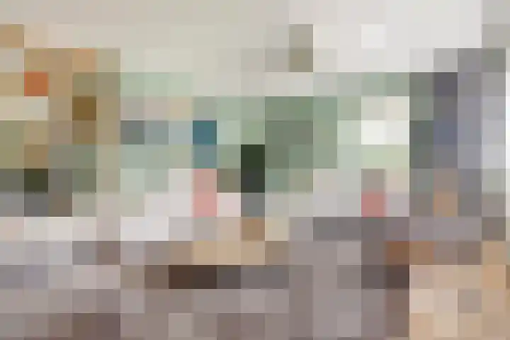 Ada van Hollandstraat 10 's-Heer Hendrikskinderen thumbnail 8