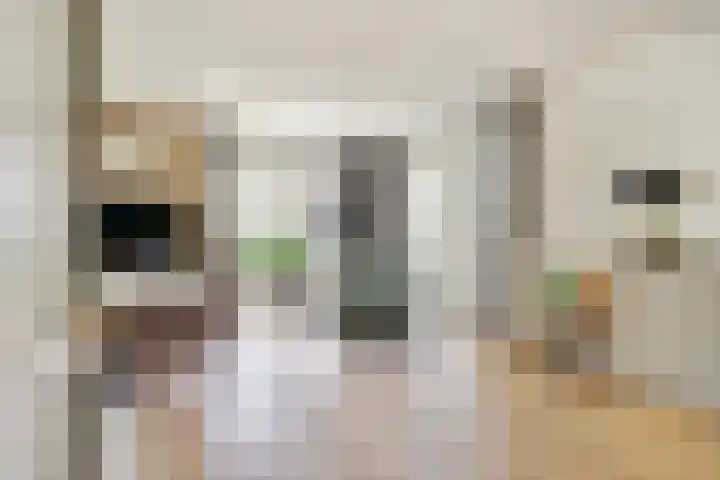 Ada van Hollandstraat 10 's-Heer Hendrikskinderen thumbnail 9