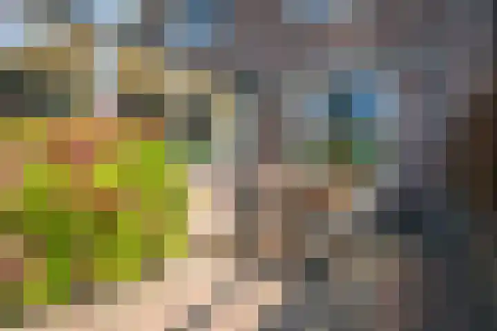 Ada van Hollandstraat 20 Den Burg thumbnail 14