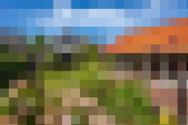 Ada van Hollandstraat 20 Den Burg thumbnail 17