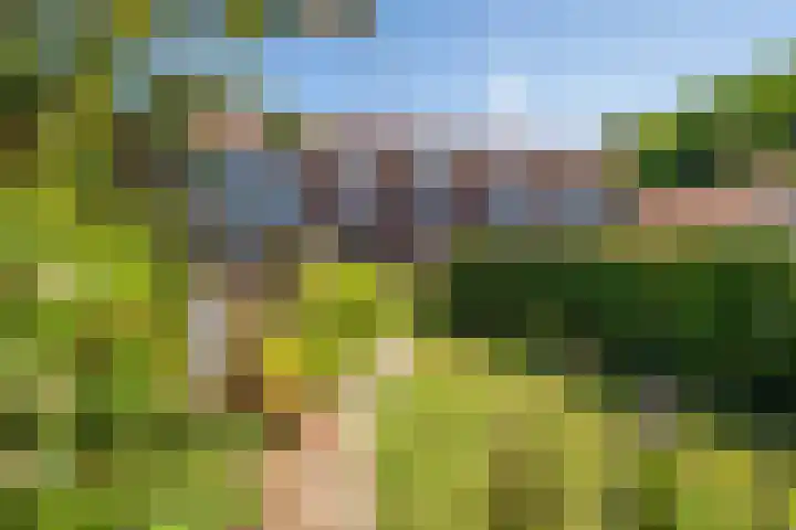 Ada van Hollandstraat 20 Den Burg thumbnail 18