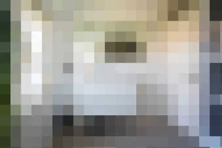 Ada van Hollandstraat 20 Den Burg thumbnail 25