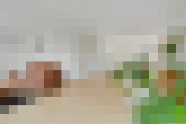 Ada van Hollandstraat 3 's-Heer Hendrikskinderen thumbnail 6
