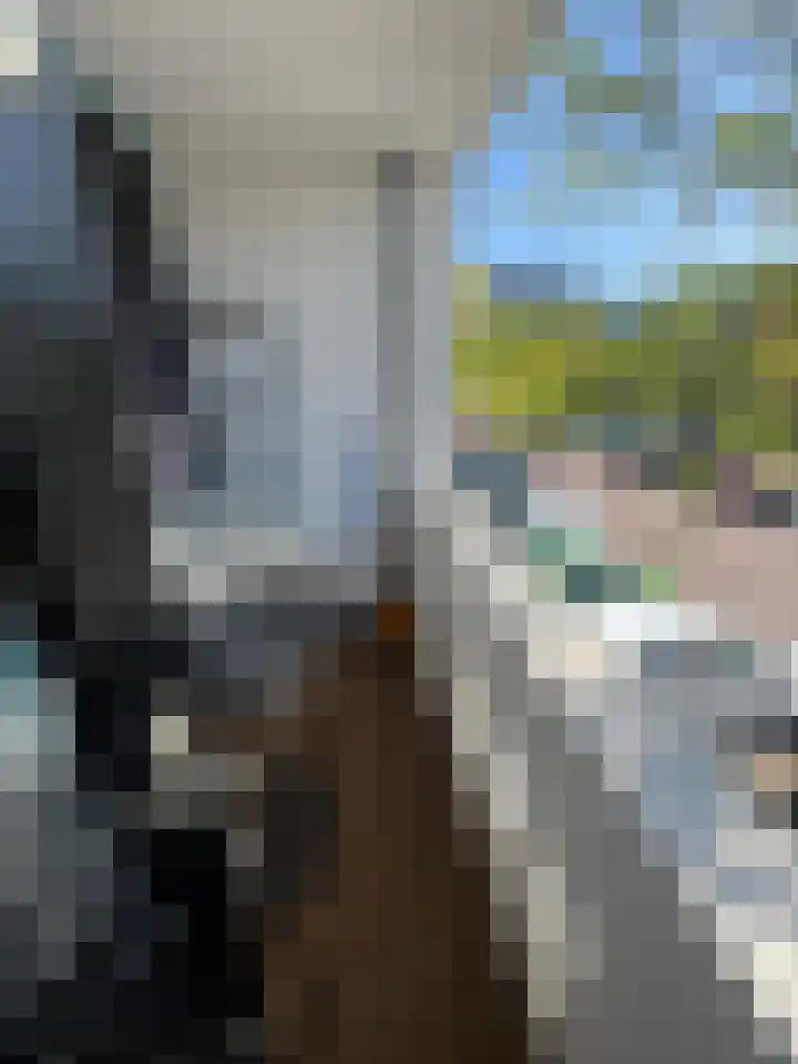 Ada van Hollandstraat 38 Delft thumbnail 7