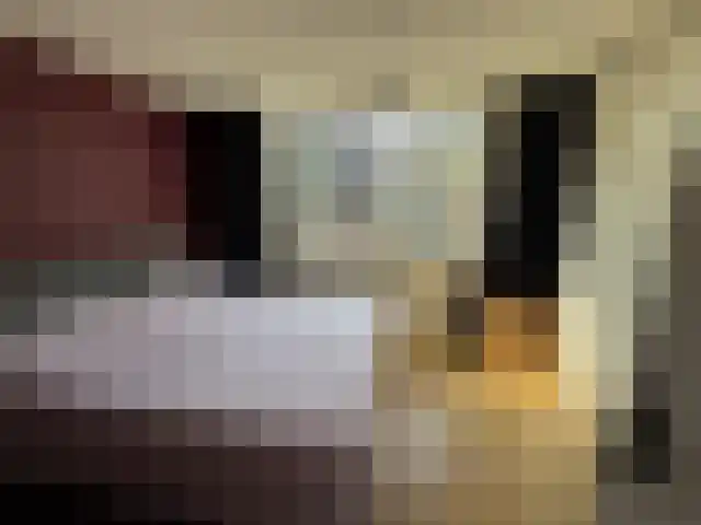 Ada van Hollandstraat 4 Delft thumbnail 12