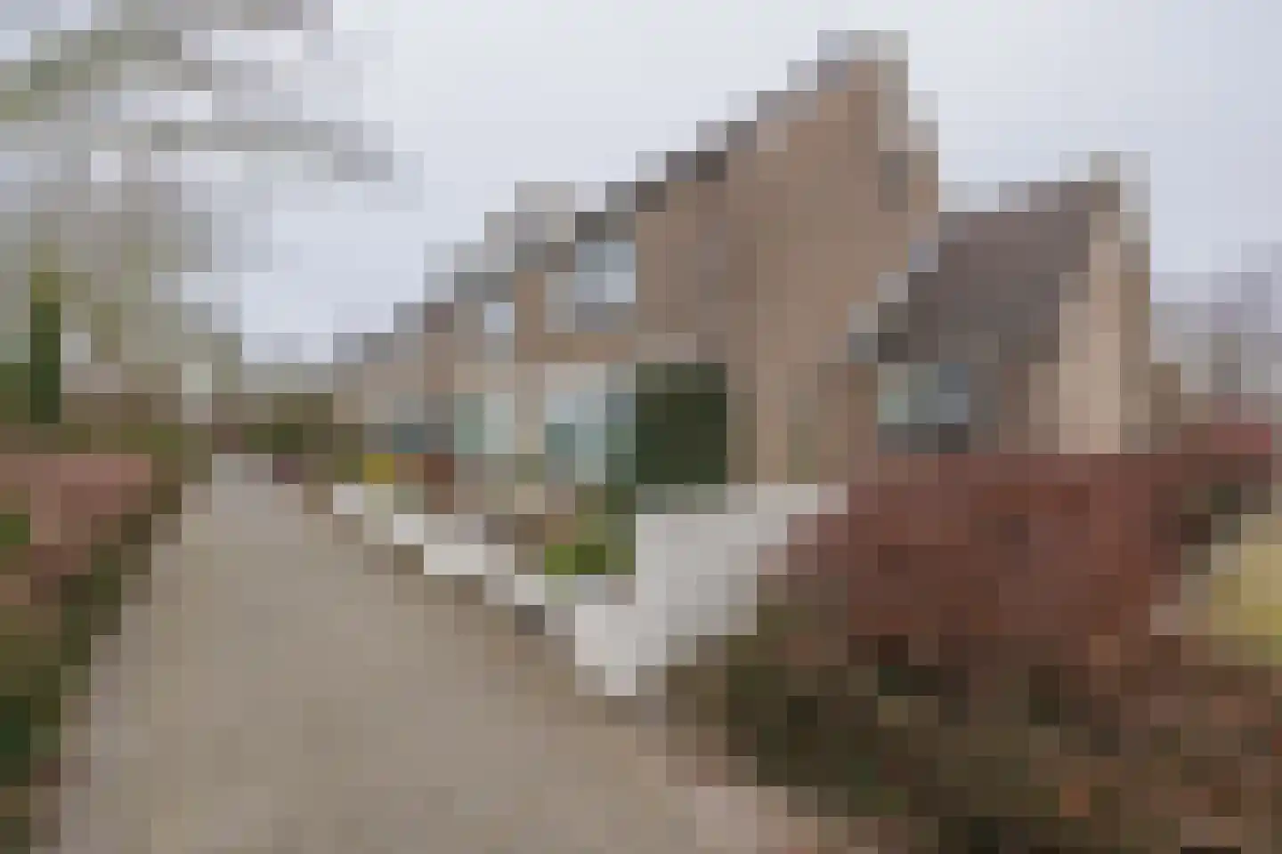 Ada van Hollandstraat 4 Delft thumbnail 29
