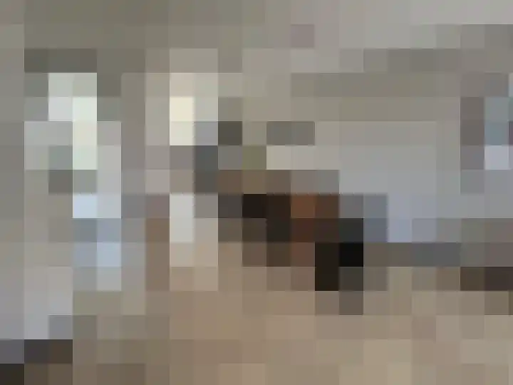 Ada van Hollandstraat 4 Delft foto 3