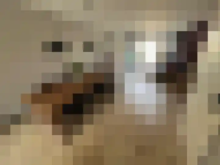 Ada van Hollandstraat 4 Delft thumbnail 4