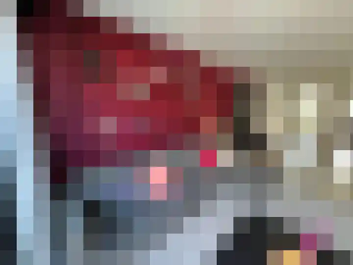 Ada van Hollandstraat 4 Delft thumbnail 5
