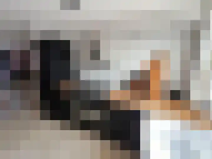 Ada van Hollandstraat 4 Delft thumbnail 7