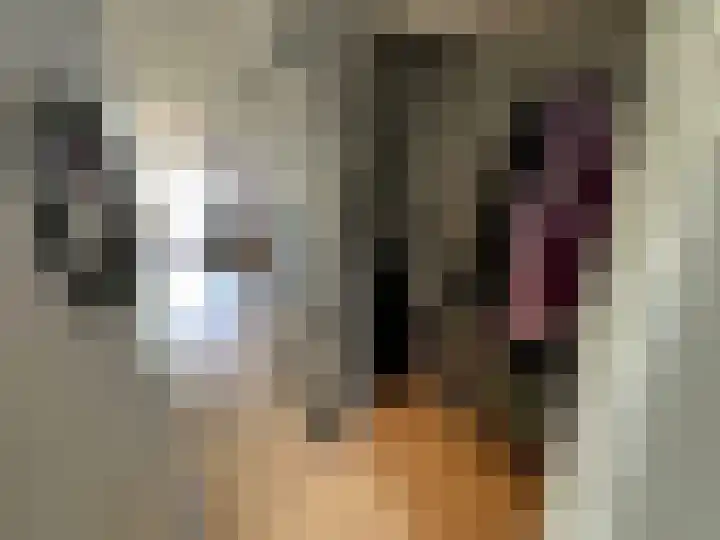 Ada van Hollandstraat 4 Delft thumbnail 9