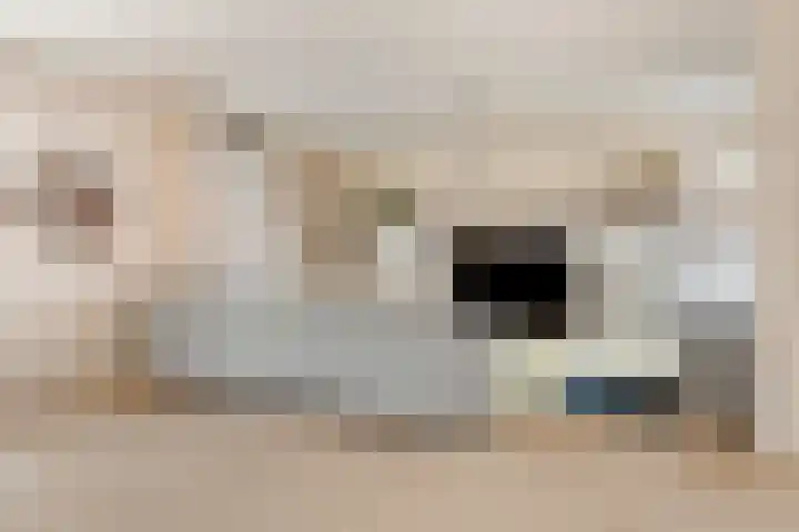 Ada van Schotlandplaats 2 Leiderdorp thumbnail 10