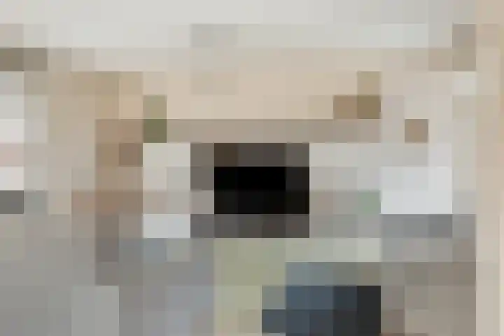 Ada van Schotlandplaats 2 Leiderdorp thumbnail 11
