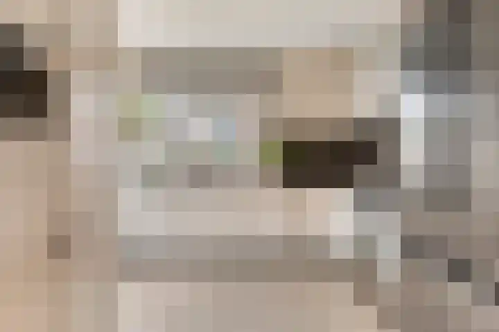 Ada van Schotlandplaats 2 Leiderdorp thumbnail 18
