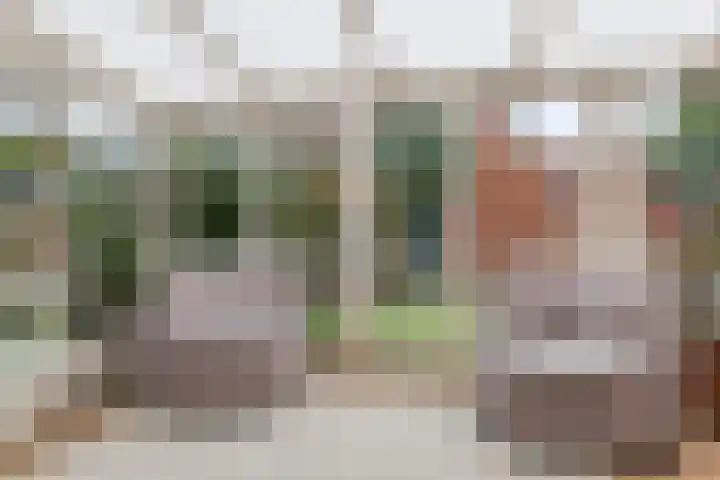 Ada van Schotlandplaats 2 Leiderdorp thumbnail 23