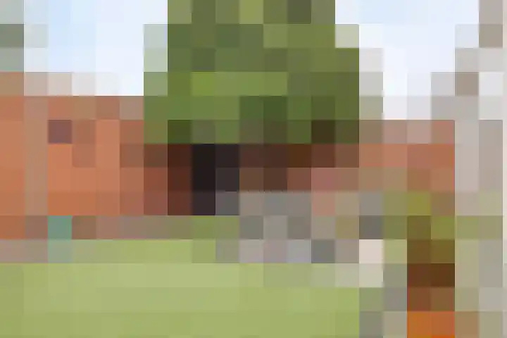 Ada van Schotlandplaats 2 Leiderdorp thumbnail 25
