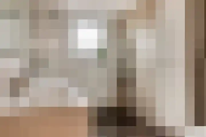 Ada van Schotlandplaats 2 Leiderdorp thumbnail 38