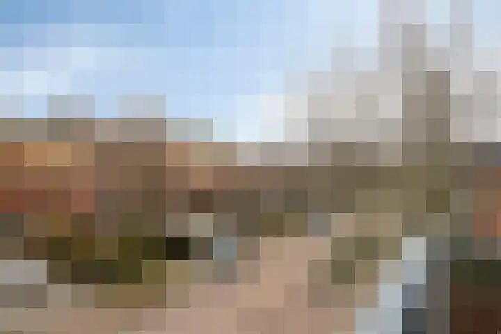 Ada van Schotlandplaats 2 Leiderdorp thumbnail 45