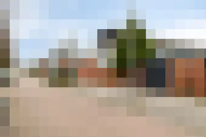 Ada van Schotlandplaats 2 Leiderdorp thumbnail 47