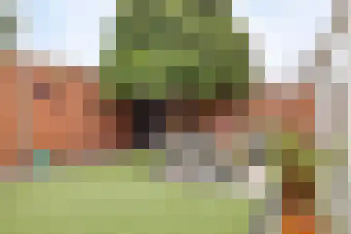 Ada van Schotlandplaats 2 Leiderdorp thumbnail 5