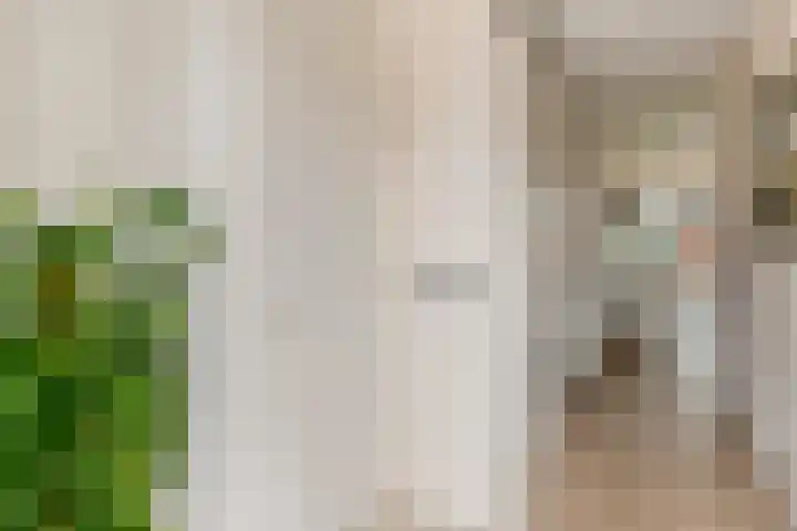 Ada van Schotlandplaats 2 Leiderdorp thumbnail 8