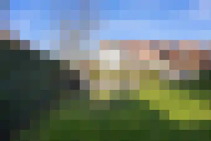 Adagiostraat 2 Rosmalen thumbnail 42