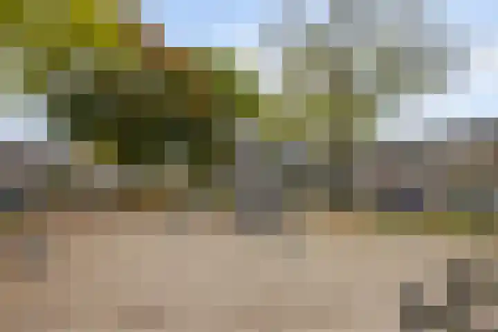 Adalbertstraat 1 Waalre thumbnail 30