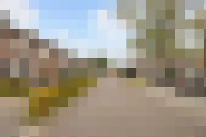 Adalbertstraat 1 Waalre thumbnail 31