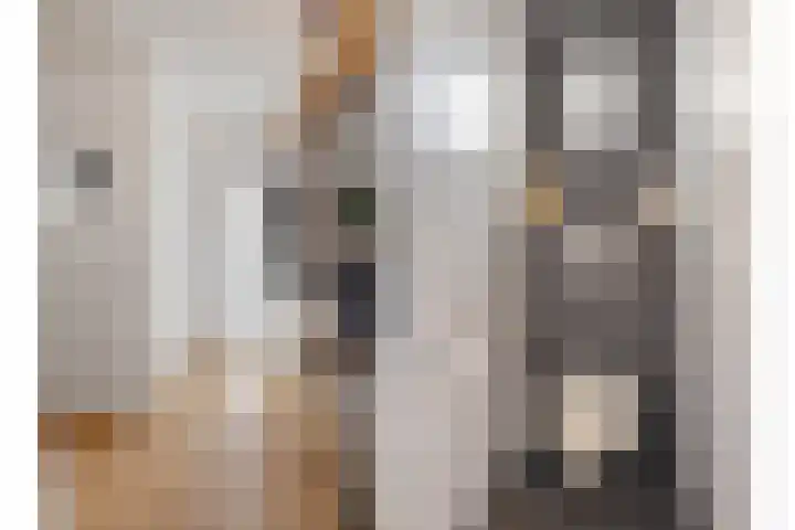 Adalbertstraat 1 Waalre thumbnail 4