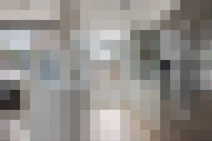 Adalbertstraat 1 Waalre thumbnail 6