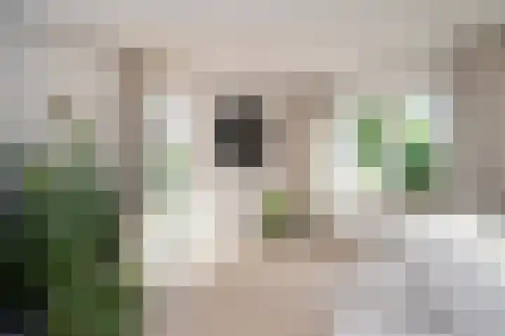 Adam Beckersdreef 7 Sittard thumbnail 18