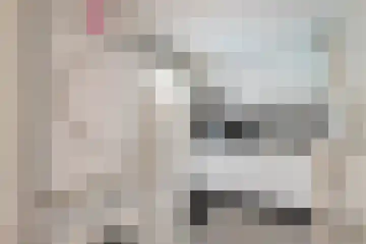 Adam Beckersdreef 7 Sittard thumbnail 31