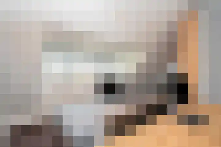 Adam Beckersdreef 7 Sittard thumbnail 46