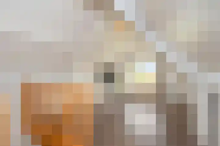 Adam Beckersdreef 7 Sittard thumbnail 49