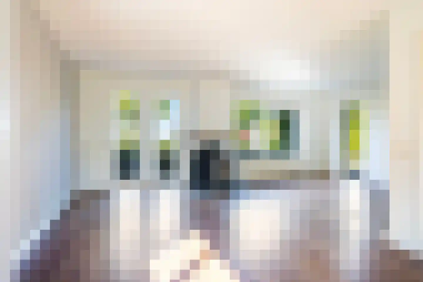Adam en Atze strjitte 2 Tersoal thumbnail 11