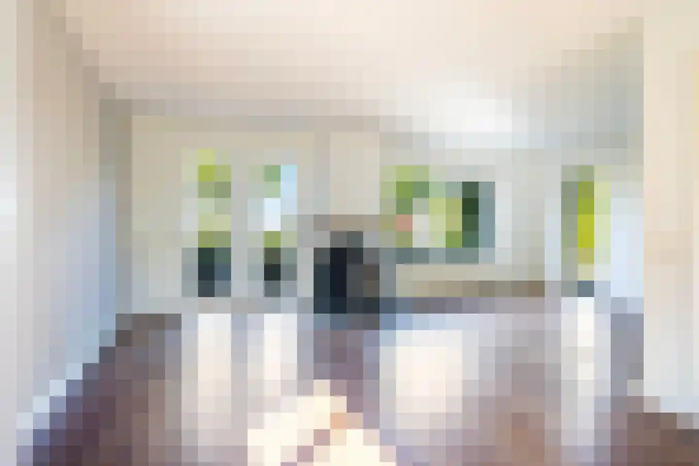 Adam en Atze strjitte 2 Tersoal foto 3