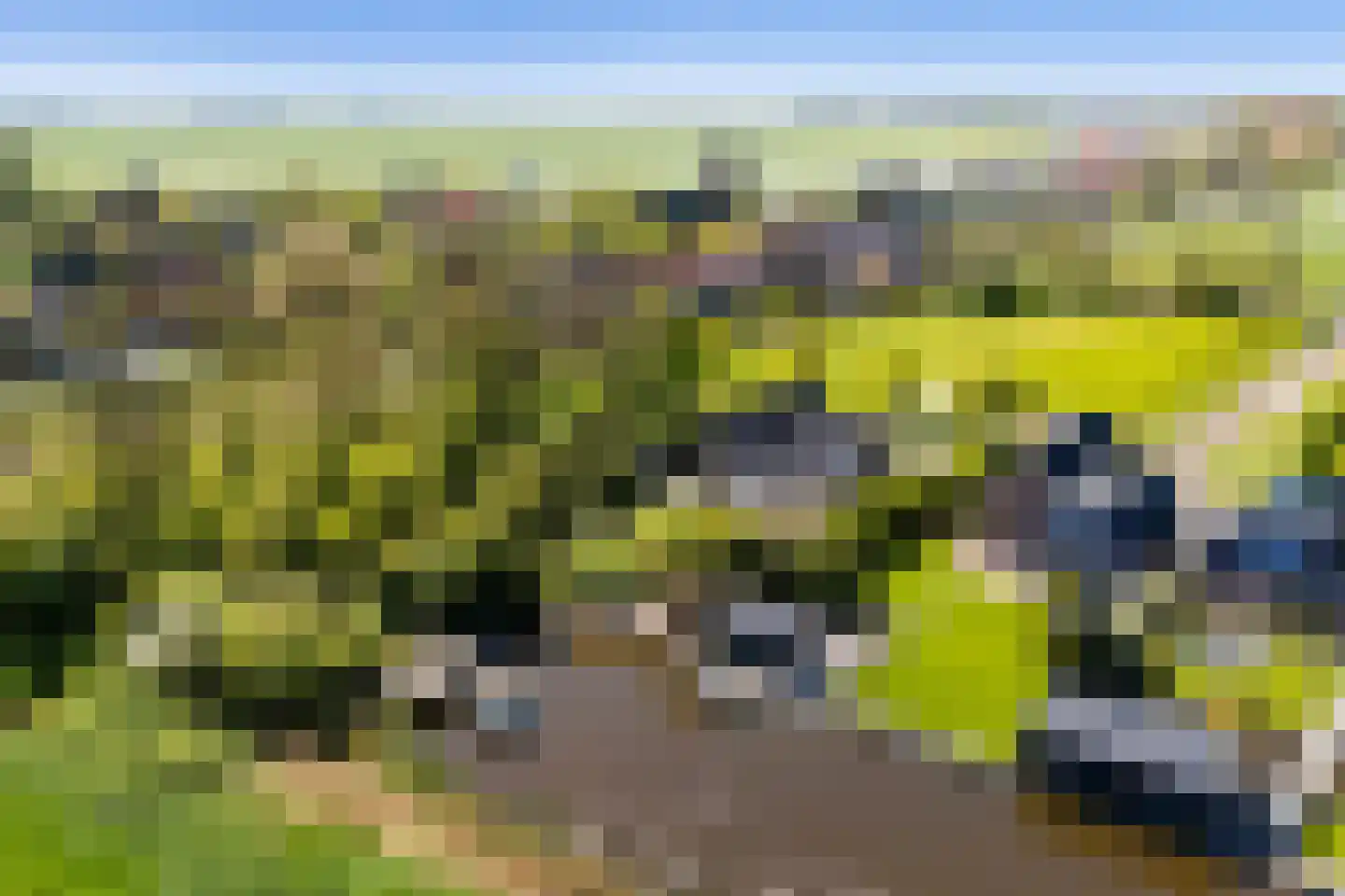 Adam en Atze strjitte 2 Tersoal thumbnail 60