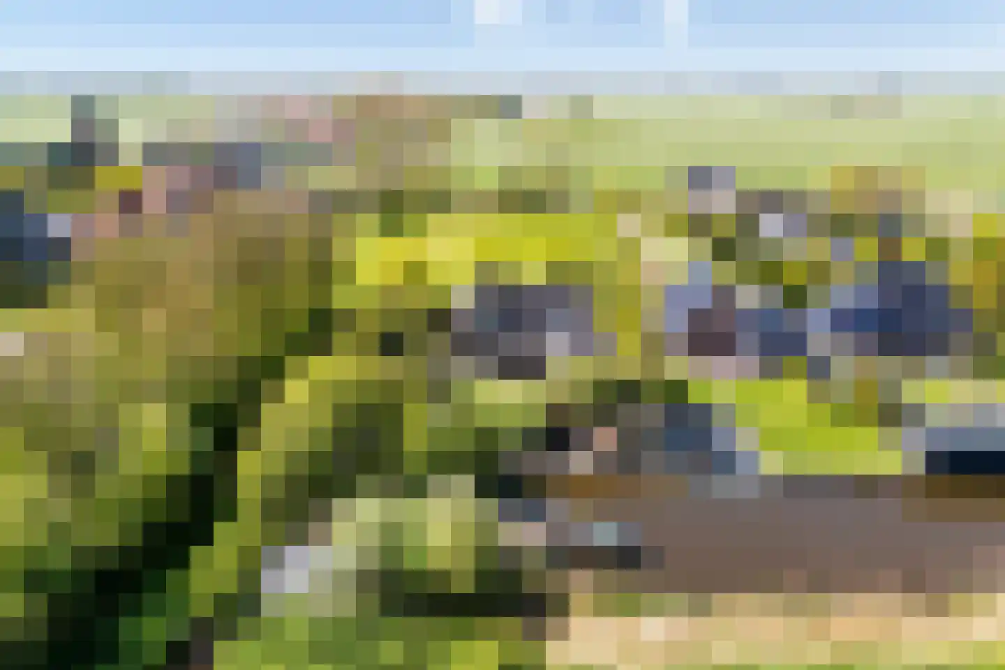 Adam en Atze strjitte 2 Tersoal thumbnail 61