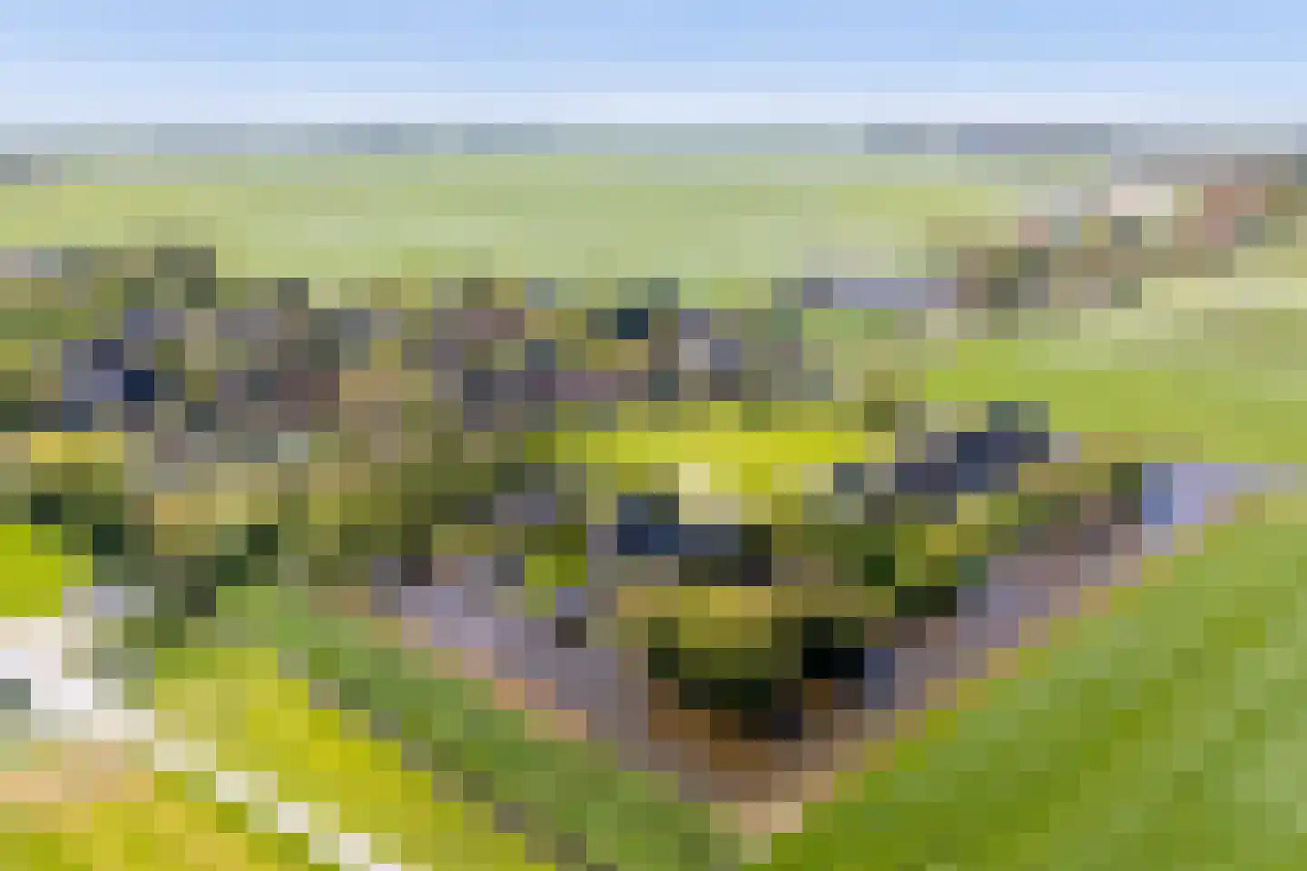 Adam en Atze strjitte 2 Tersoal thumbnail 62