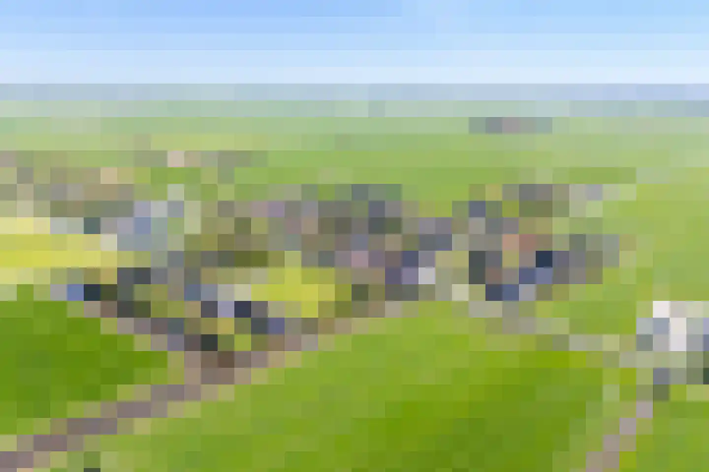Adam en Atze strjitte 2 Tersoal thumbnail 63