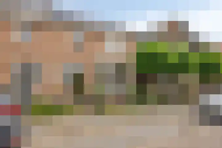 Adam Pijnackerstraat 8 Pijnacker thumbnail 6