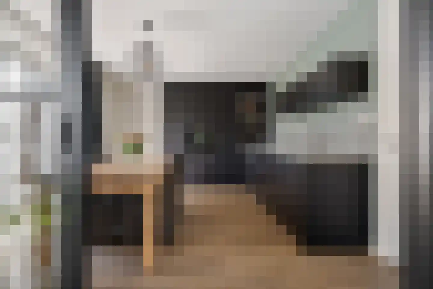Adam Pynacker 1 Creil thumbnail 14