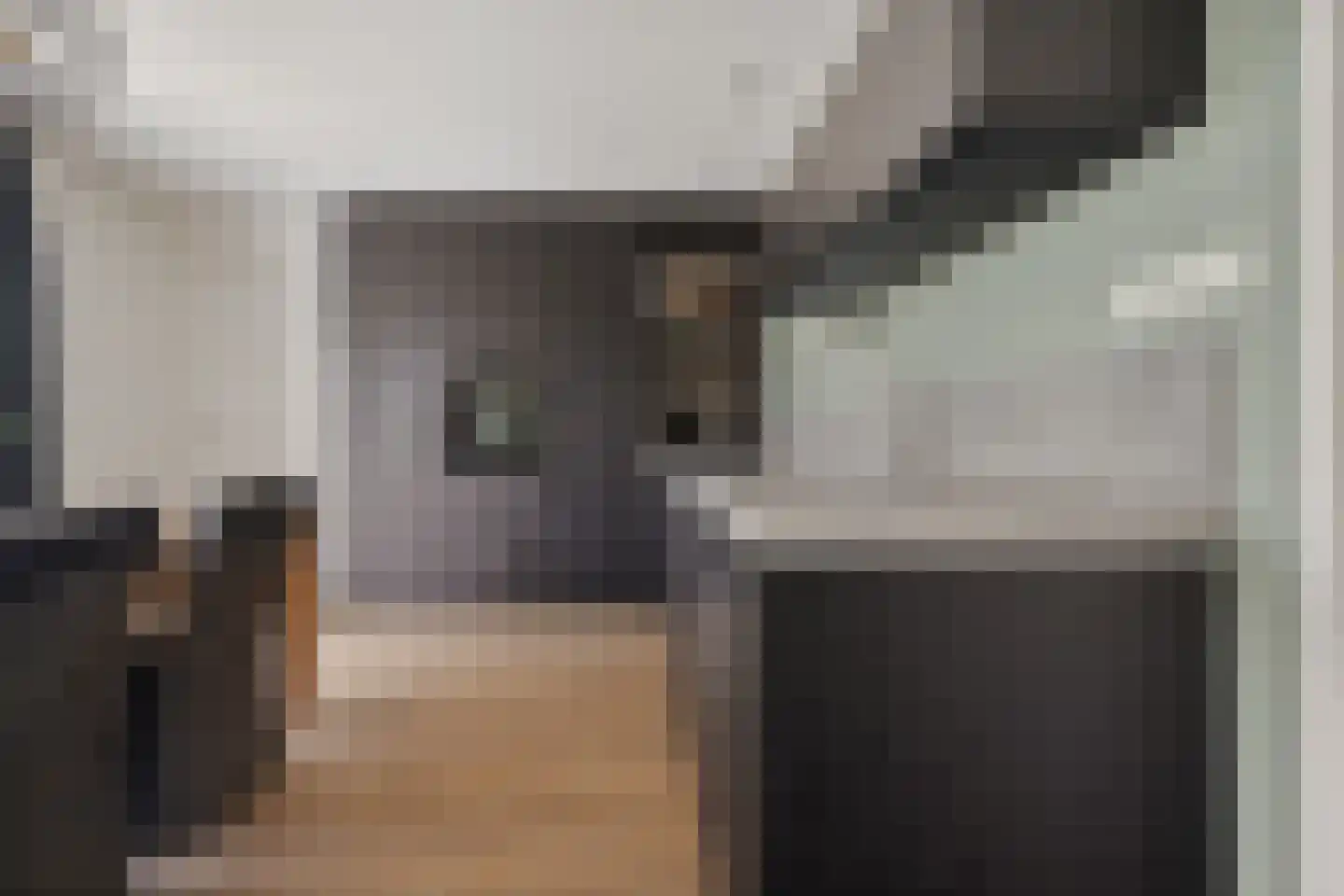 Adam Pynacker 1 Creil thumbnail 15