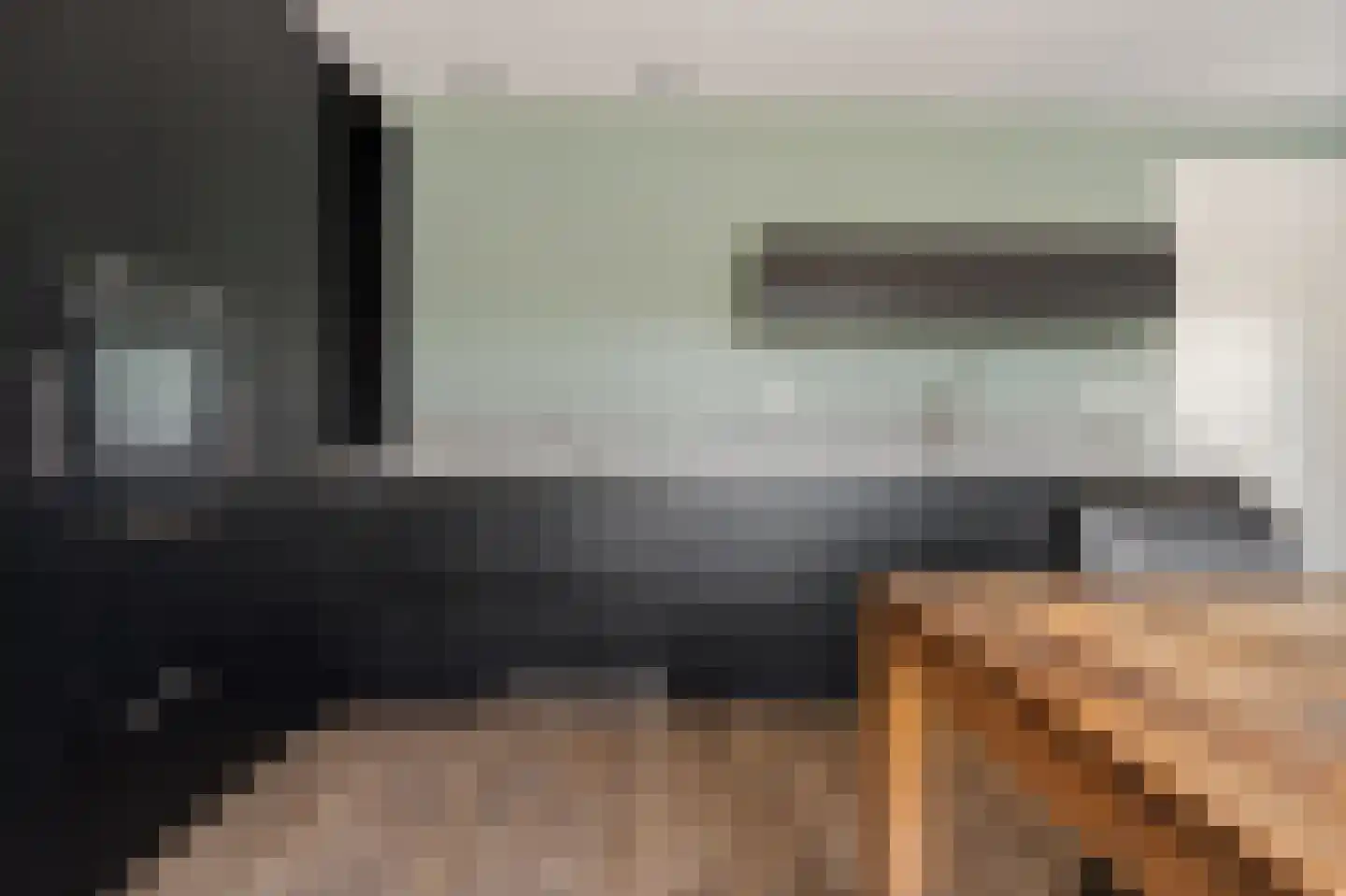 Adam Pynacker 1 Creil thumbnail 17