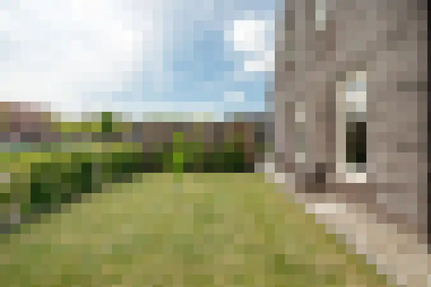 Adam Pynacker 1 Creil thumbnail 45