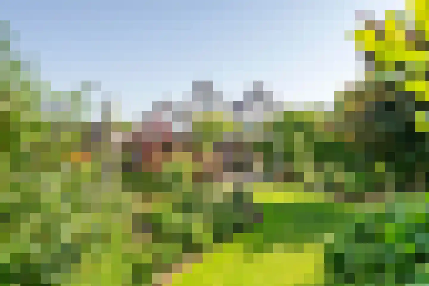 Adam van Delenstraat 6 a Eck en Wiel thumbnail 11