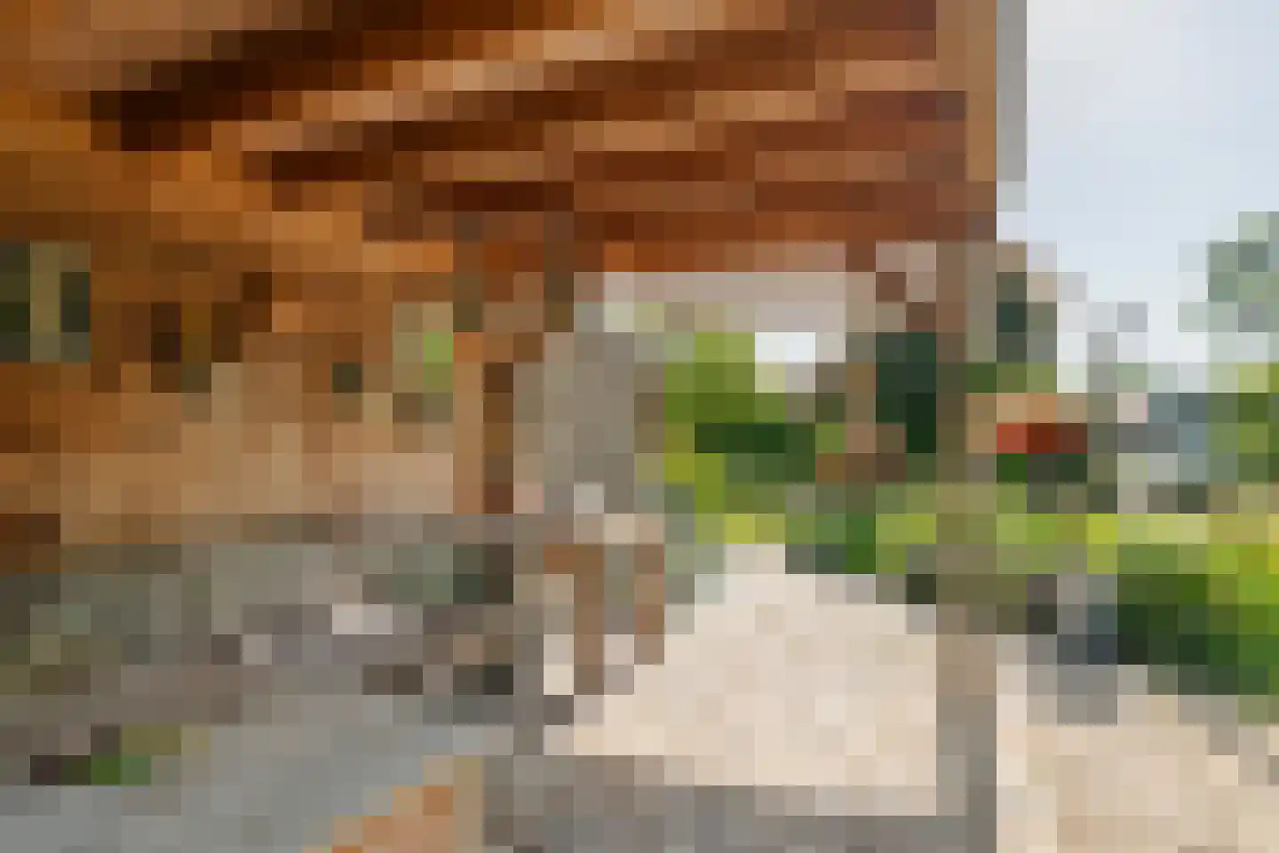Adam van Delenstraat 6 a Eck en Wiel thumbnail 13