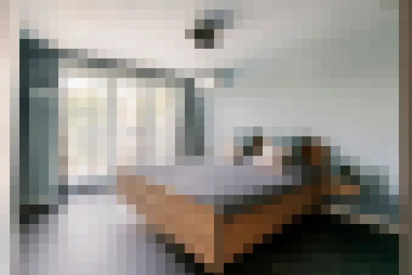 Adam van Delenstraat 6 a Eck en Wiel thumbnail 40