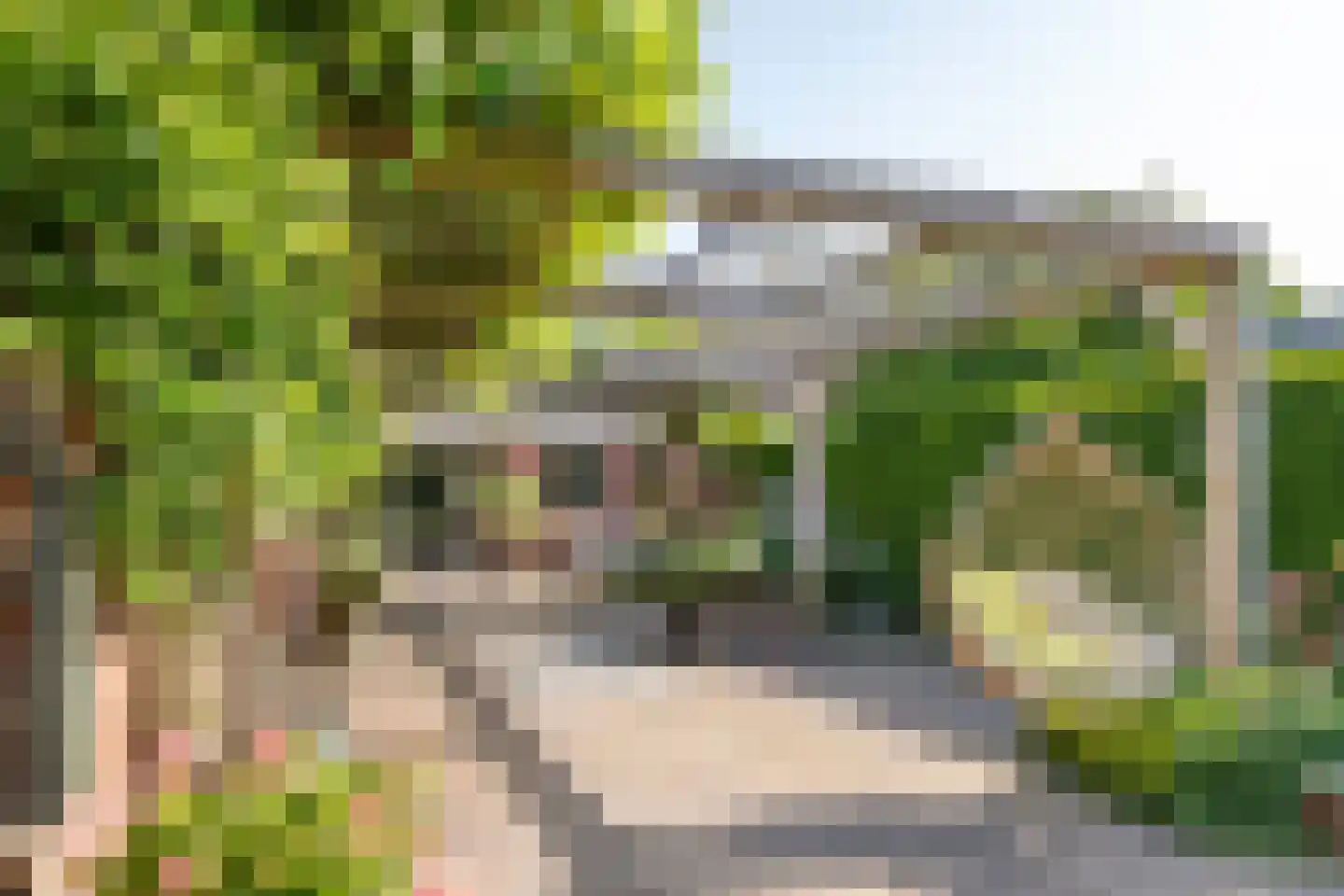 Adam van Delenstraat 6 a Eck en Wiel thumbnail 8